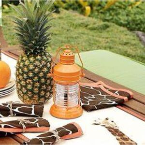 Pottery Barn kids SAFARI table runner